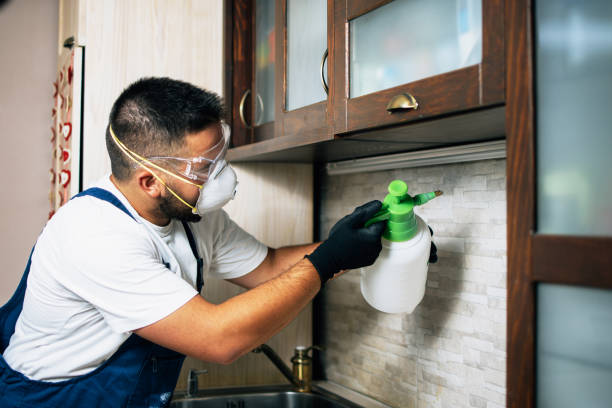 Best Pest Inspection Near Me  in Parlier, CA