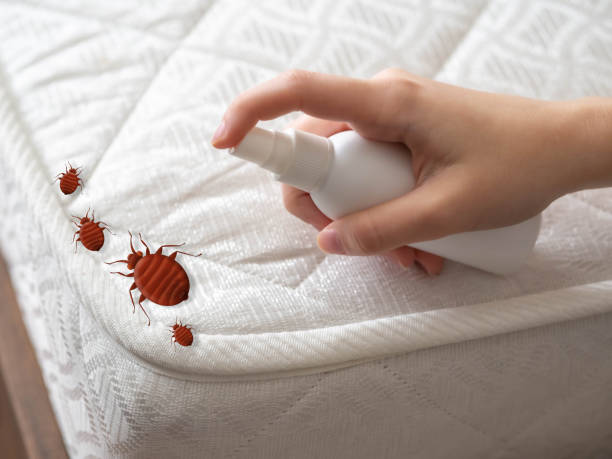 Best Pest Inspection Near Me  in Parlier, CA