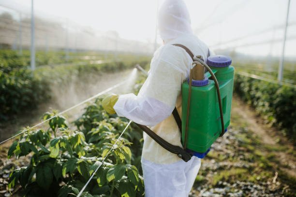 Best Emergency Pest Control  in Parlier, CA